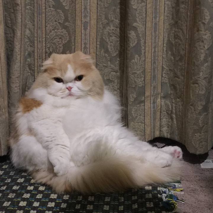 439cab17 d465 4e33 8319 e9ea9e4dfb05 1554045598212