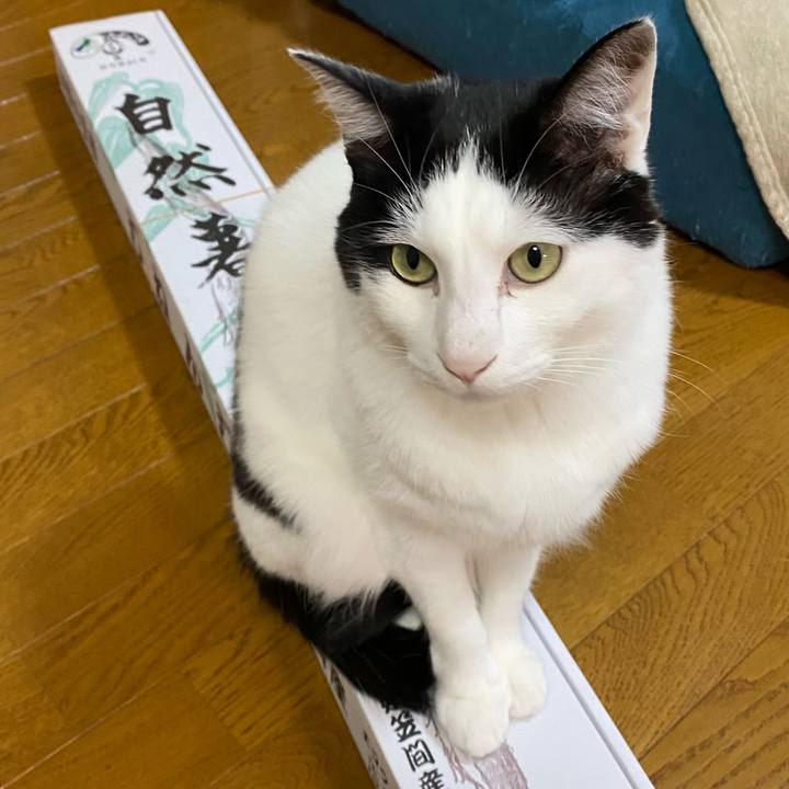 439d2a6b 146f 4c5f a629 7e8fe743ed8c 1620034849780