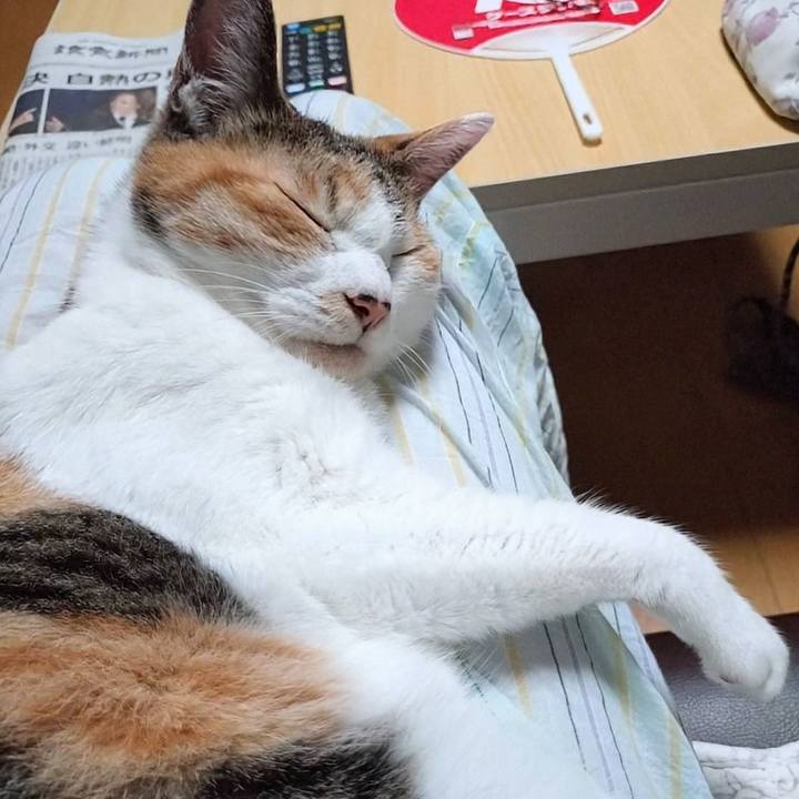 439d53ed 66aa 4780 acf8 e0a6e2a1da04 1726148755189