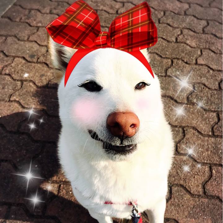 439d8693 c584 4366 881e 2e3d09f8aadc 1520097382606