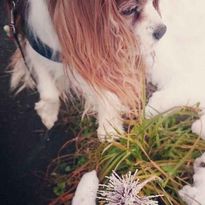 439df887 16dc 40f3 abe4 01fbcb63c812 1511309698101