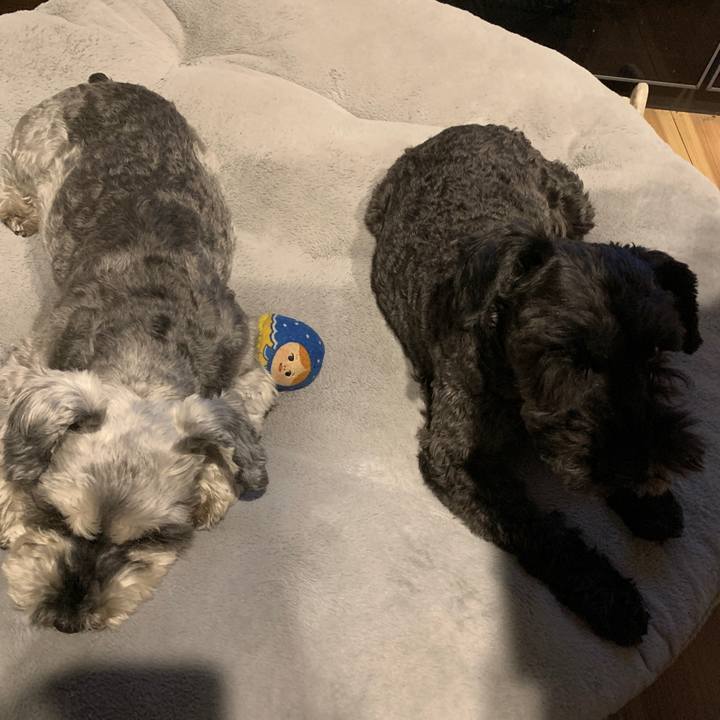 439e2057 8718 46ad a05b a58cff8c6722 1683714440132