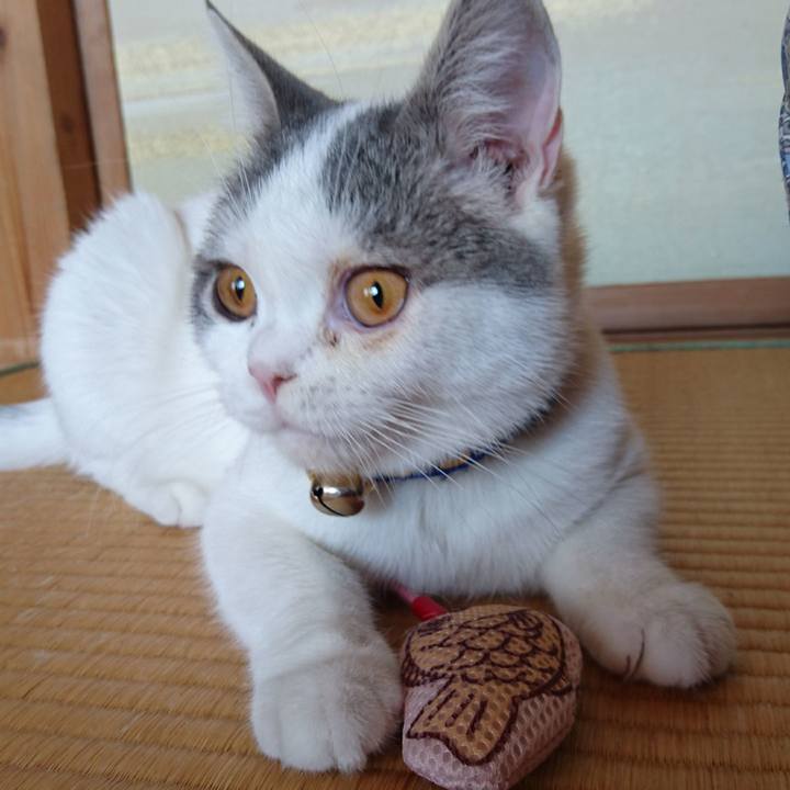 439e39e6 6c10 439c aad8 8987b4dc23eb 1543365970663