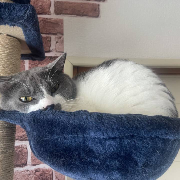 439e537a 7a75 4648 abe3 5dc943ea4f28 1627278162847