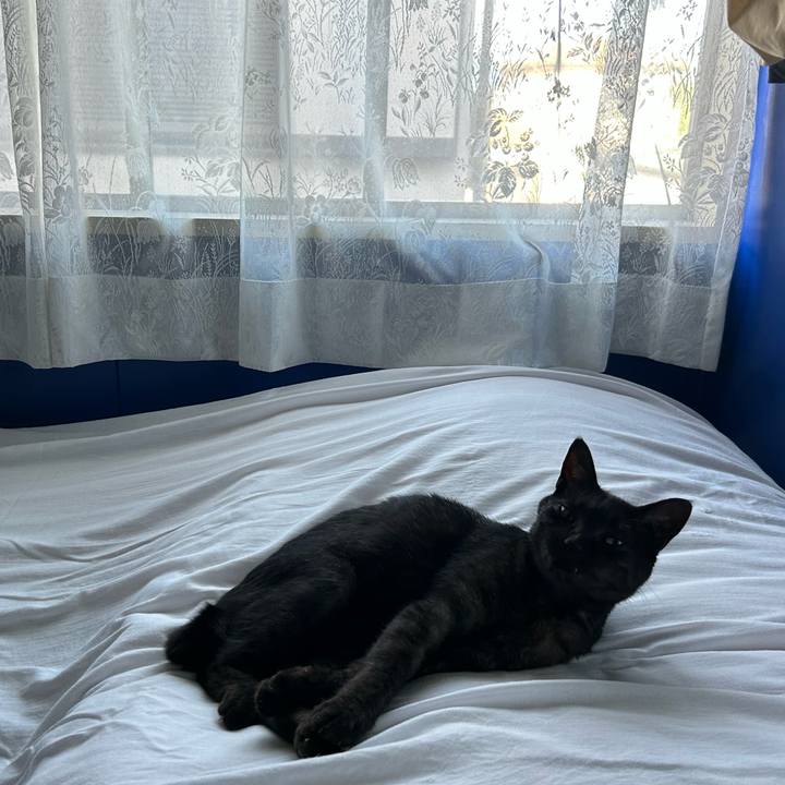 439e70ca 543f 4396 ac12 da0a2986fef1 1757245395171