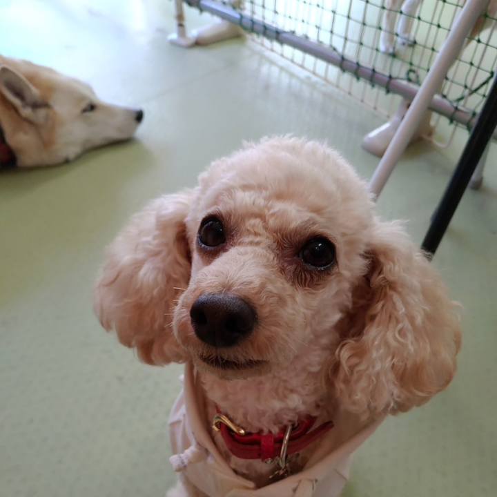 439e9a14 98f7 4109 bd70 9aa5e0eee065 1543204911976