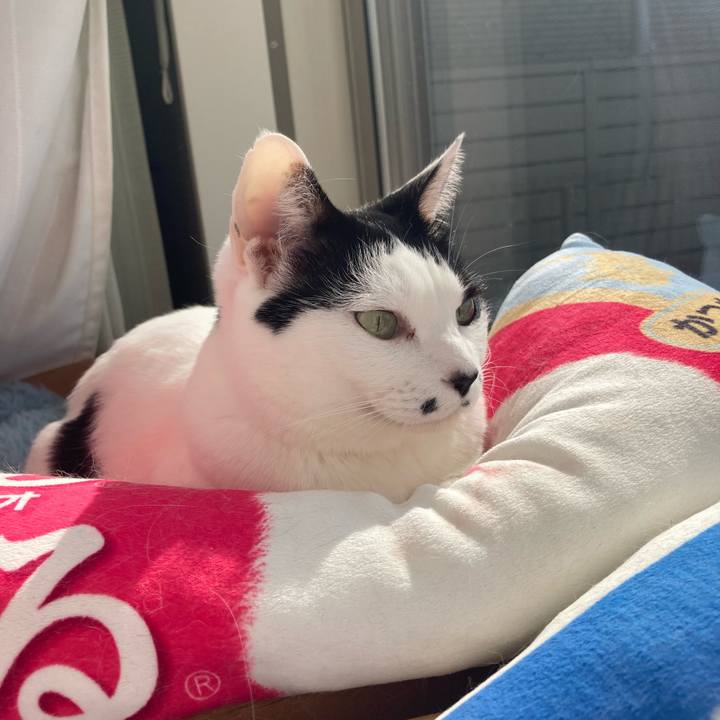 439e9c39 d285 4089 981e 9a4c51b5aa89 1771383733668