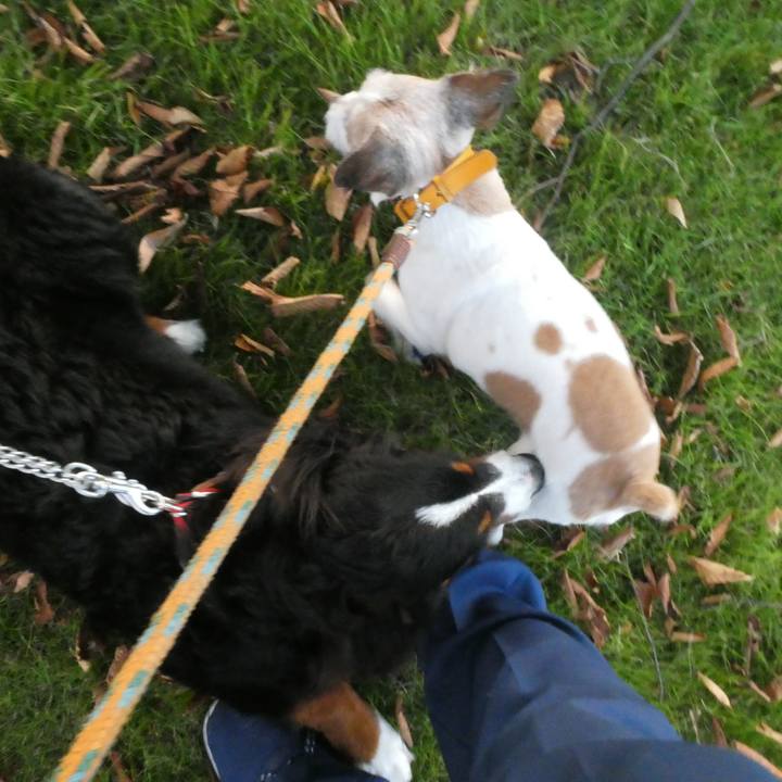 439ea62b 1a6a 4471 b23e 5a8a357cb8f4 1602070171594