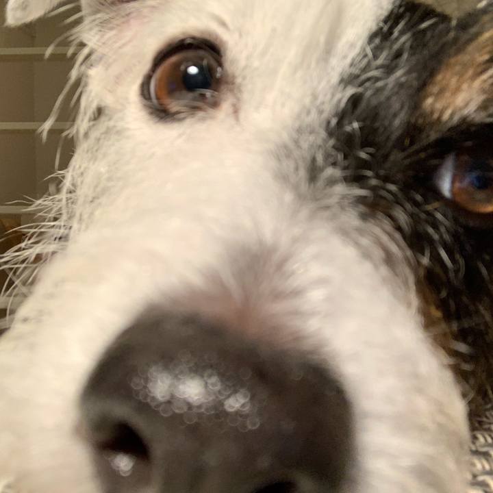 439eae4a ccfa 4e48 a466 c08fd52d222c 1663841827548