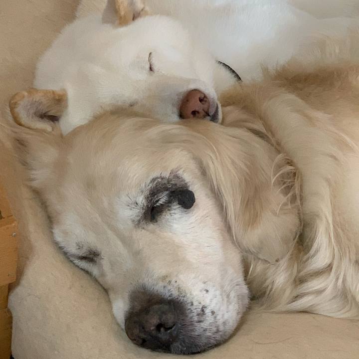 439eed43 1c91 42ef af48 6ea8b1b5f481 1610856912477