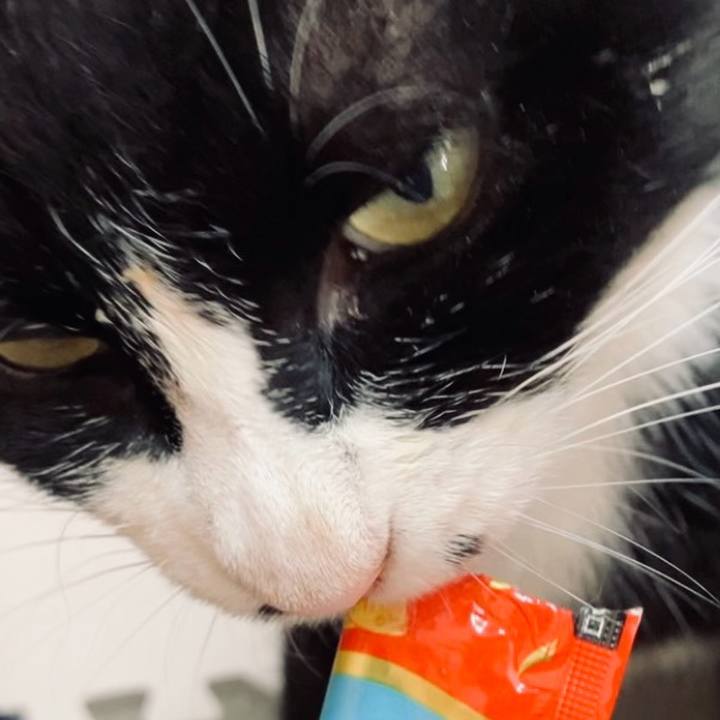 439ef616 d5ba 4039 9a39 7f586804a2e6 1731466230673