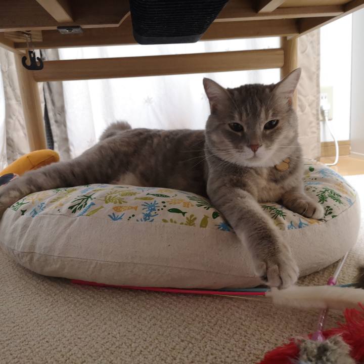 439eff12 fcd5 4806 9436 8bba46b46ffd 1593527817025