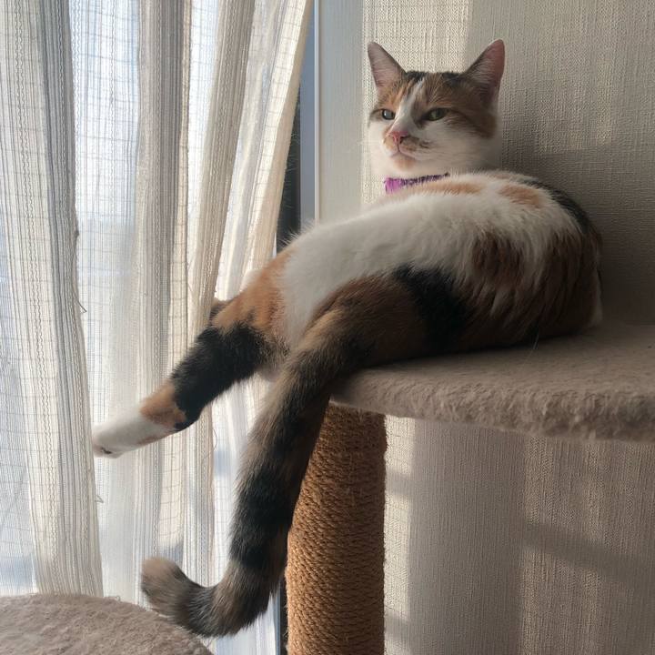 439f1e5e 4ec2 420c b957 238bd89772c5 1604132167670