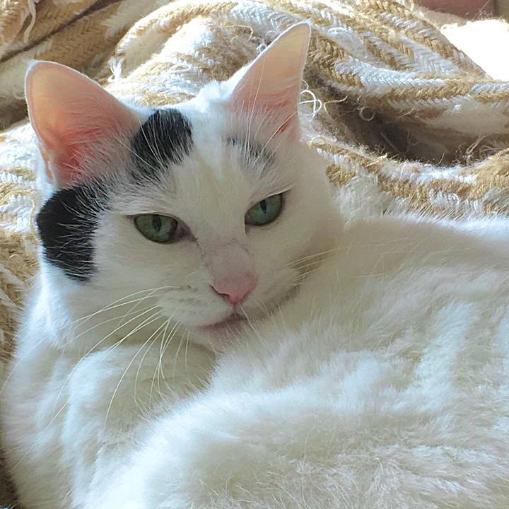 439f2d8e c5ef 41c6 bc6f 148918a47cdc 1604138511778