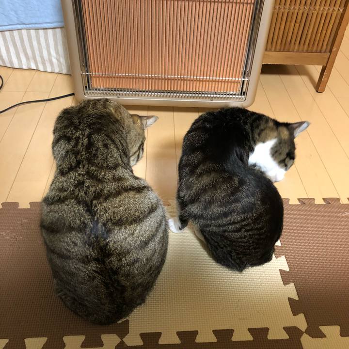 439f4db6 784d 4232 b69e 084da5556ad6 1516985834821