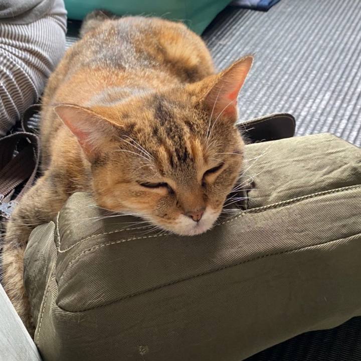 439f5f06 0c28 4805 8424 8b4916647177 1596288178812