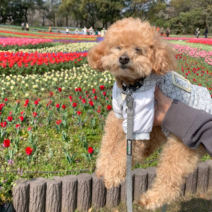 439f6eaa c4ae 491d 9759 43f0d8a22816 1775367623068