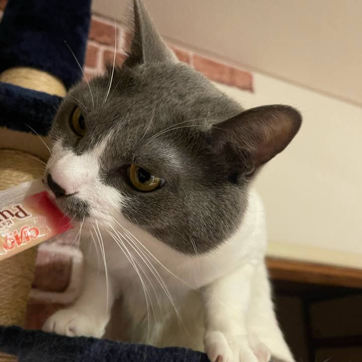 439f81bd 5648 4405 a872 87876240969e 1665822585868