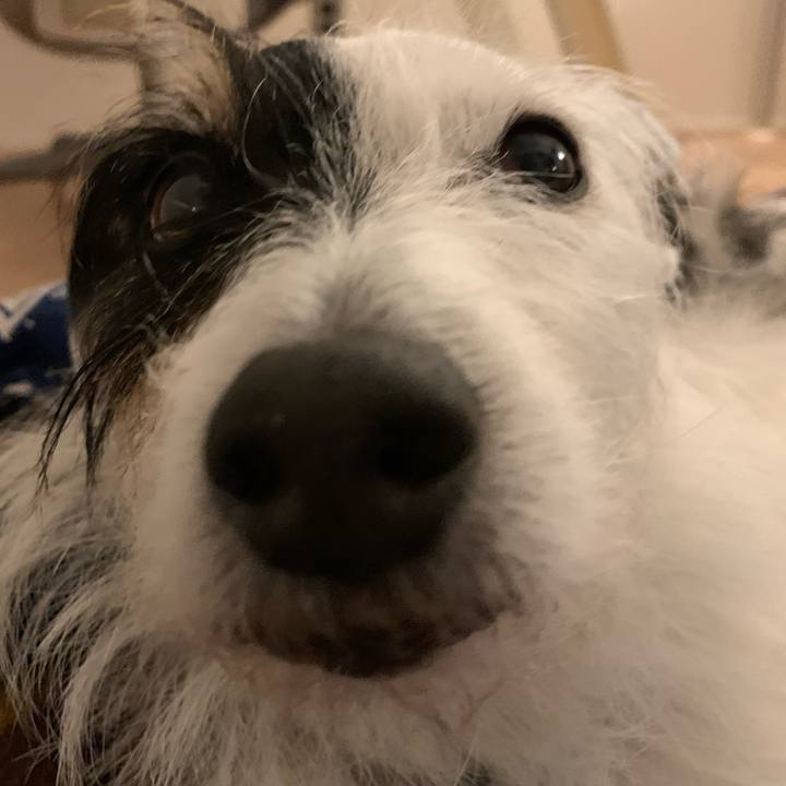 439f89d6 260c 43ee bf8a bdc138562ed5 1735561344660