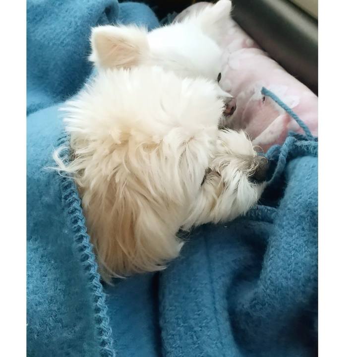 439f9052 9d13 48f0 808f e497c323f2d2 1645788076094