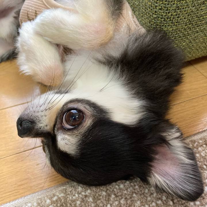 439fa067 e9c8 4e0a 8538 a963a92adbb7 1683474227354