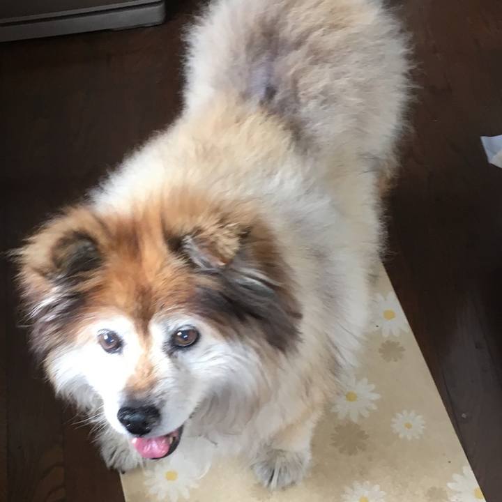 439fd29b a131 47e5 a94b a84abf694eae 1592695141041