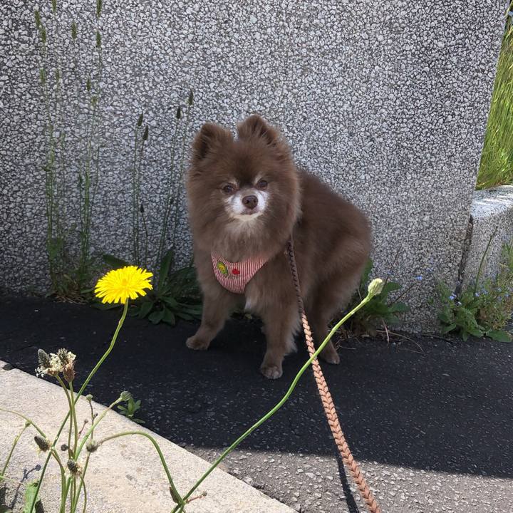 439fe3f3 52fd 469a a0cd 48c42742c1ca 1622518618006