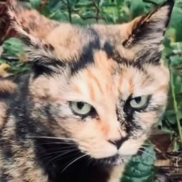 43a04099 59a2 4f35 aa01 cff4f4210e29 1730516818177