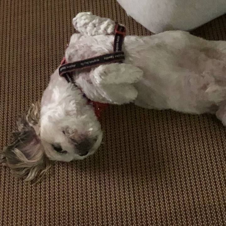 43a0497f 9d8f 4d9e 99b0 d5be79fed8f9 1630964911642