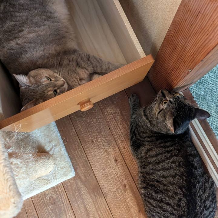 43a05825 57ec 46dd aed1 5241220c3e02 1722161742344