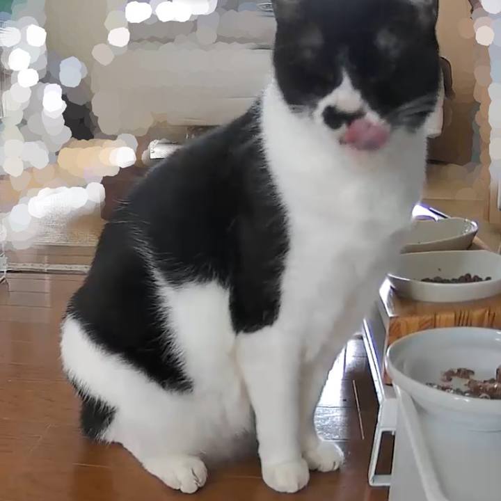 43a09a39 1f4b 4885 8635 8a3e9eae5baa 1762937485846