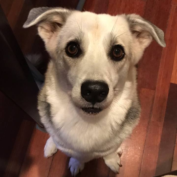 43a0af37 cac7 4e9d 9836 b26a9b3299fd 1563849022458