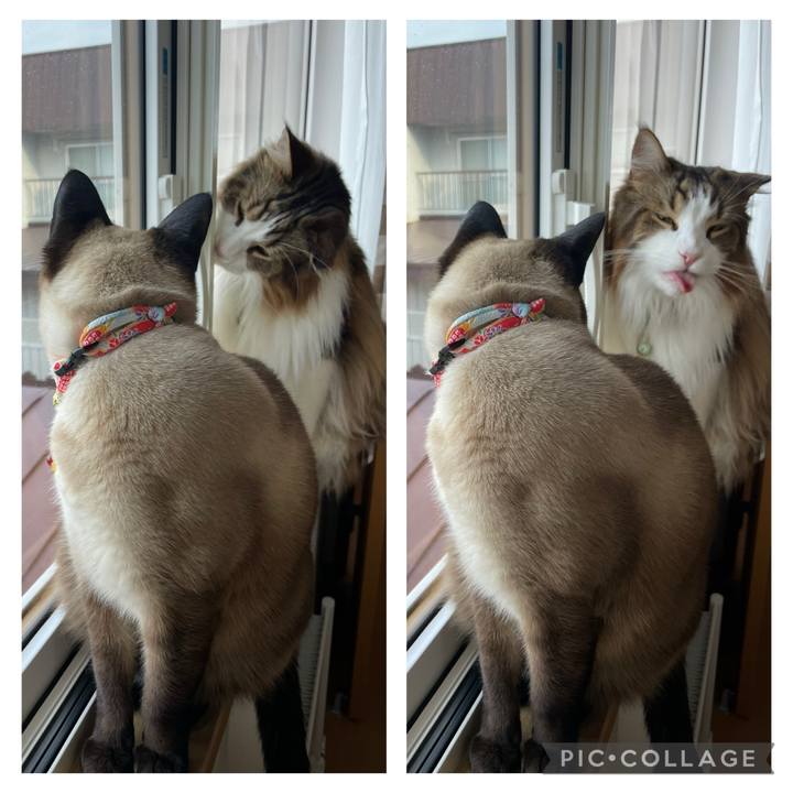 43a0b0a3 06be 44c8 ac31 a5e371900197 1746997112284