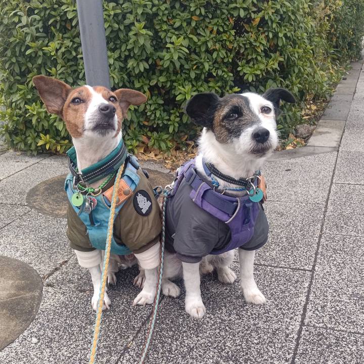 43a0b20a 1b76 4ca5 91fa f9b9184968ec 1705754621993