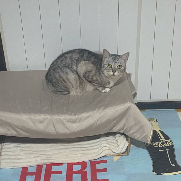 43a0cdd7 9a30 4fe8 953e e332df68d25b 1719119567465