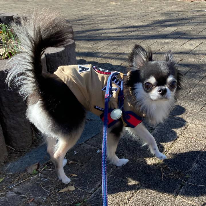 43a0f0a3 80d6 4b93 9f0e d621033caec5 1702795307966