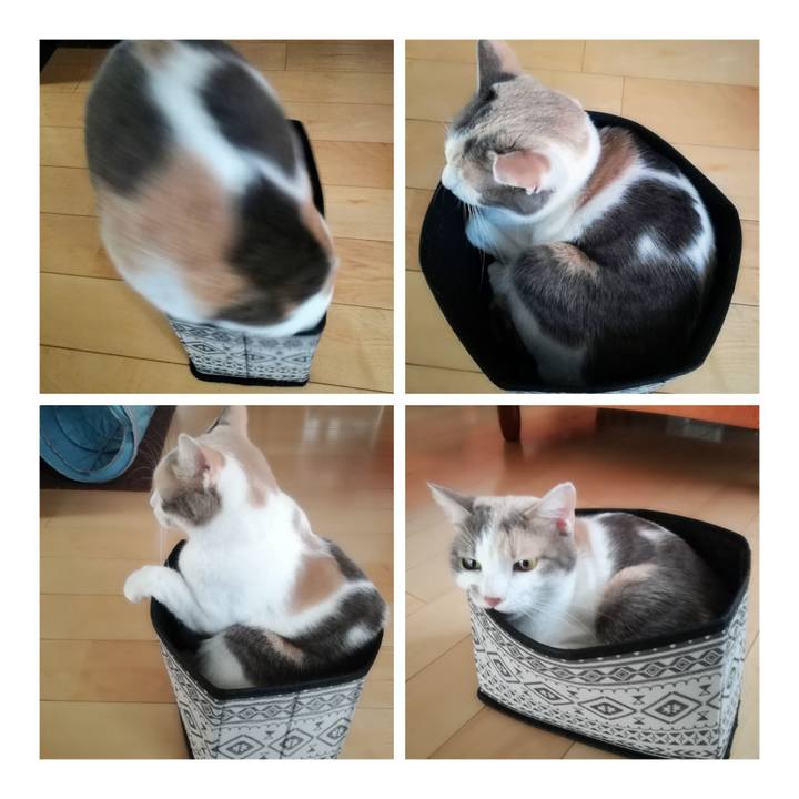 43a10c63 9aae 4cc2 825e 66118f55a2f2 1540260357333