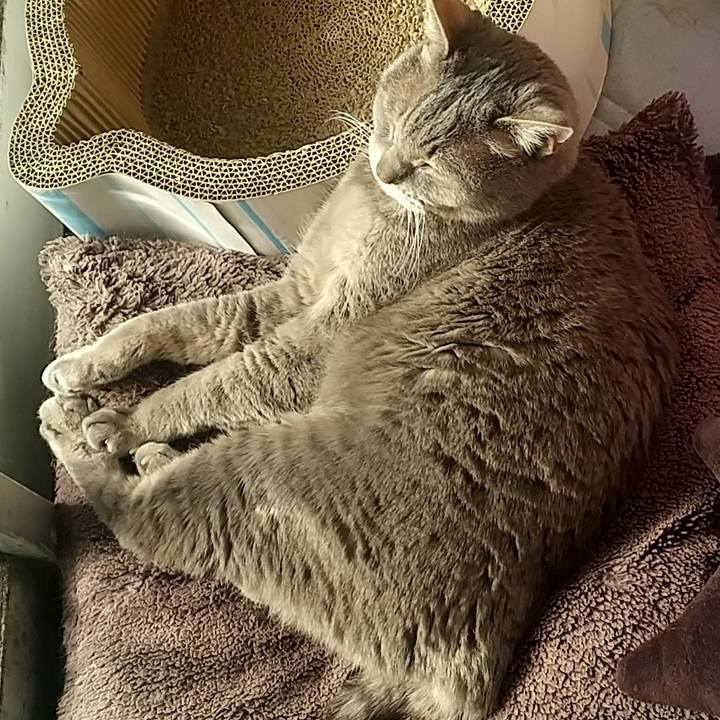 43a17165 1894 4ba3 96d4 47200b204f53 1674870614840