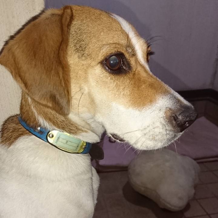 43a1be38 55e7 4a93 8881 3ab27502a1db 1568038036071