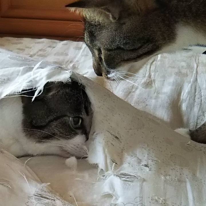 43a1ccfb a047 4fac 98dc aeefe8aa02be 1614060231977