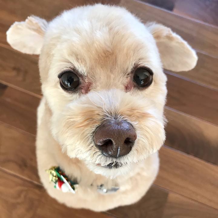 43a1cecf 3213 4f9c 9fe0 e77f3353caee 1546823185524