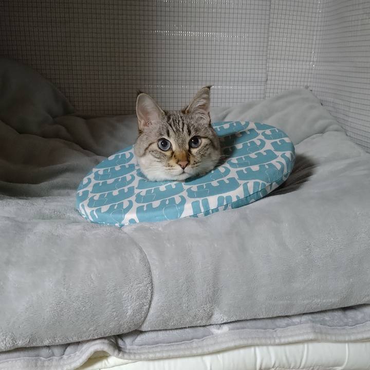 43a1df1f 03c8 442a 9aaf 8c0ae9567c21 1740490566836