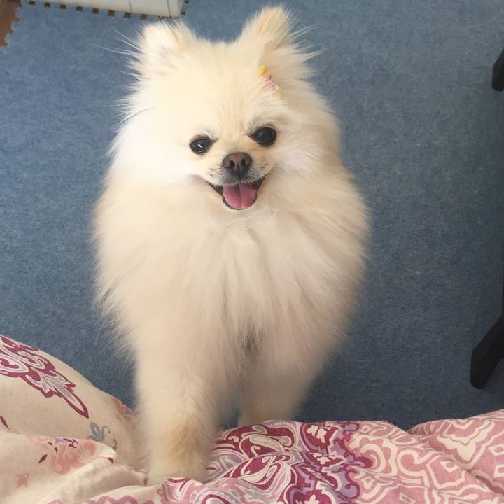 43a21513 58ca 4908 a7a0 564e8b8e9857 1524369460089