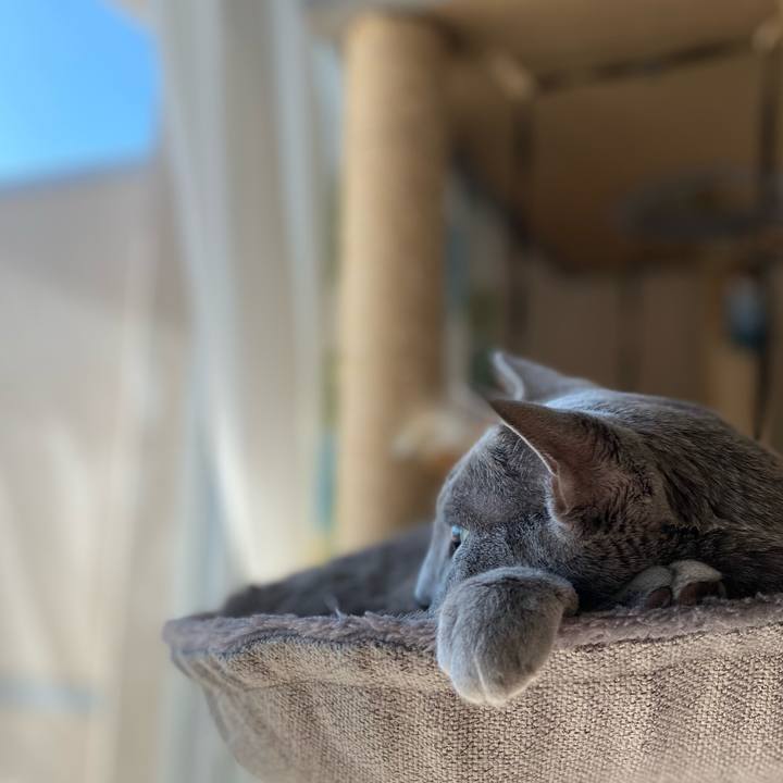 43a23157 c35e 4907 ad52 09dfa10fa928 1645758101086