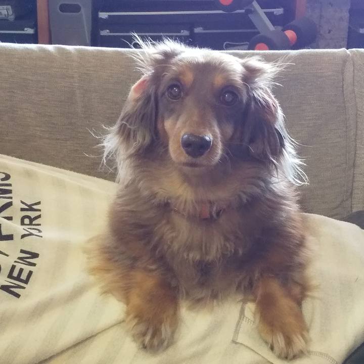 43a23de4 88bf 4132 aaff 1a2331f70d17 1605328192178