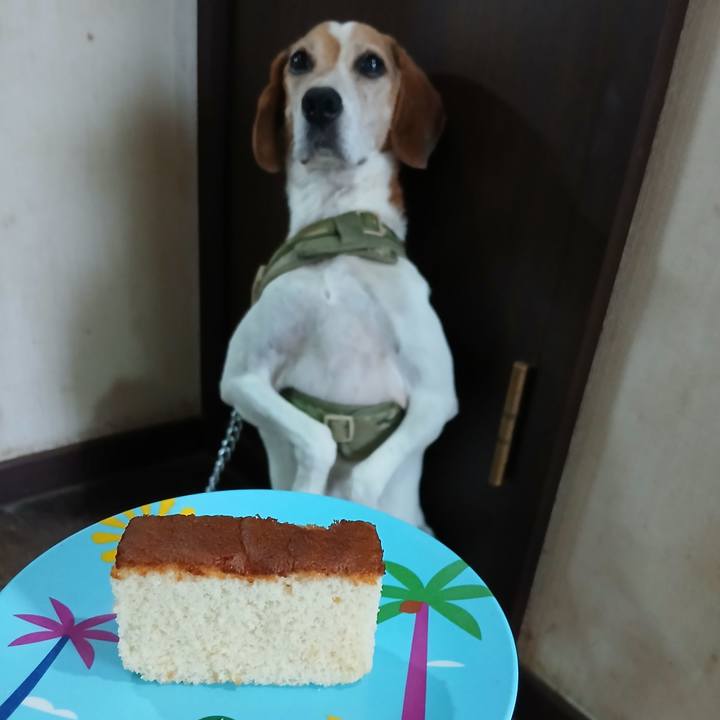 43a240c0 da84 482a 915a b04c9c1edf67 1756189237658