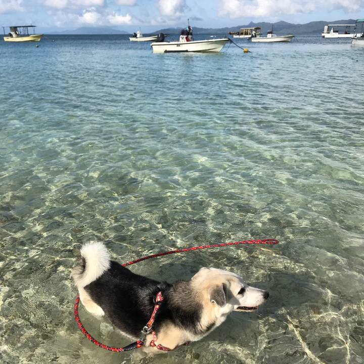 43a25b85 1c9e 411e 8091 165dabcb9664 1561717260179