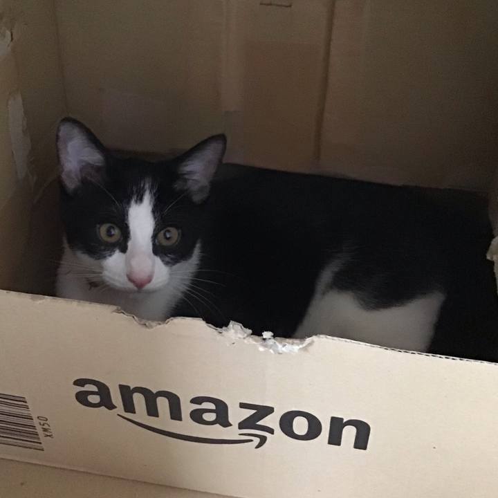 43a2c018 cb71 4c20 98f4 aaf8a4bdbc8f 1629536235662