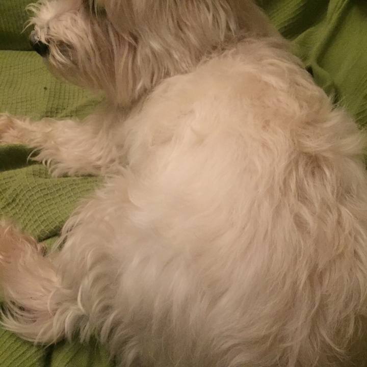 43a2cdc4 f6a8 4c89 b3f0 66cf6d250502 1537106845732