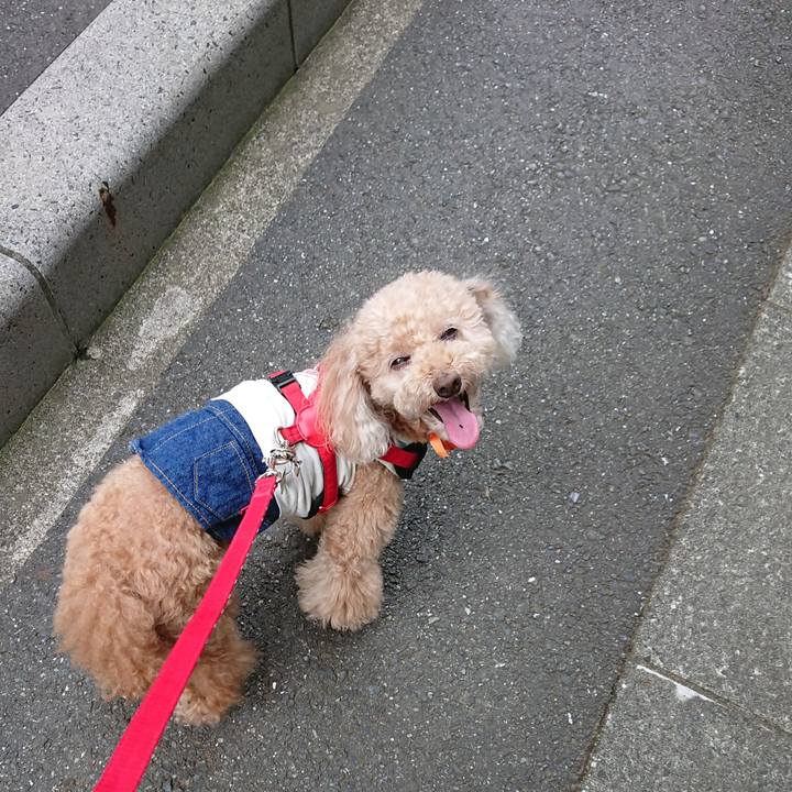 43a2fe15 862c 4de7 ba92 8888dc2b0990 1592898296995